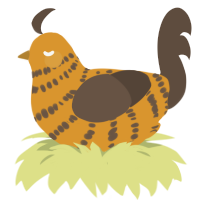 Chocolate Toffee, a orange and bark chicken with a bar pattern