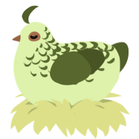 kiwi limeade, a apple and olive chicken with a half-lace pattern