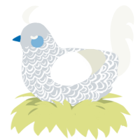 A mist and white chicken with a double-lace pattern