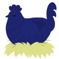 navy zz, a navy chicken with a bar pattern