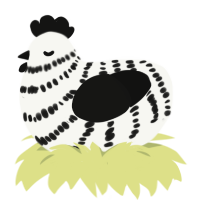 A white and black chicken with a bar pattern