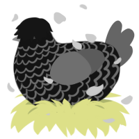 A black and grey chicken with a lace pattern