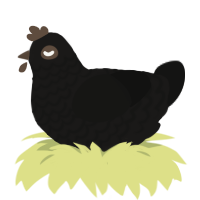 (unnamed), a sable and black chicken with a lace pattern