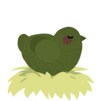 A olive chicken with a lace pattern