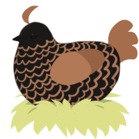 Ch Chip Cookie, a sable and brown chicken with a lace pattern