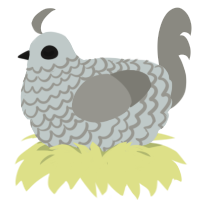 static, a silver and ash chicken with a lace pattern