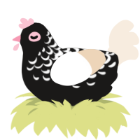 Magpie, a sable and cream chicken with a half-lace pattern