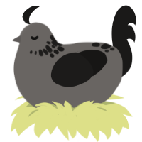 A pile of dust, a grey and sable chicken with a neck-speckle pattern