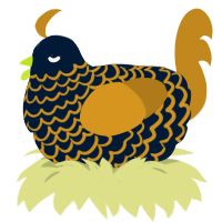 500 eggs, a tumblr and ochre chicken with a lace pattern