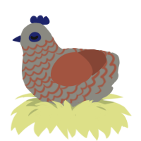 Puck, a ash and russet chicken with a lace pattern