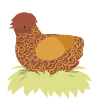 Treasure, a russet and orange chicken with a double-lace pattern