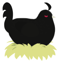 Void, a black chicken with a half-lace pattern