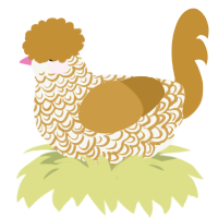 Criswell, a white and gold chicken with a double-lace pattern