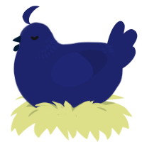 constellation, a navy chicken with a neck-band pattern