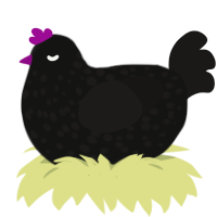 Speckled Luck, a black and sable chicken with a speckle pattern