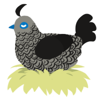 A ash and sable chicken with a double-lace pattern