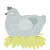 (unnamed), a silver chicken with a lace pattern