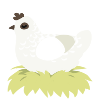 A white chicken with a half-lace pattern