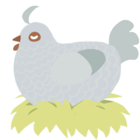 Bubbles, a mist and silver chicken with a lace pattern