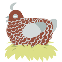 A russet and silver chicken with a lace pattern