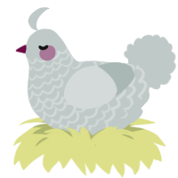 (unnamed), a silver chicken with a lace pattern