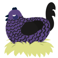 GrapeFruit, a overcast and sable chicken with a lace pattern