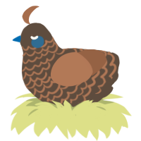 Inn Keep, a bark and brown chicken with a lace pattern