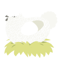 whwh ash, a white chicken with a double-lace pattern