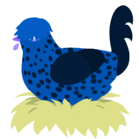 Plupple, a ultramarine and tumblr chicken with a speckle pattern