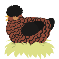 (unnamed), a russet and sable chicken with a lace pattern
