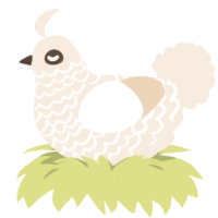 Cream, a cream chicken with a lace pattern