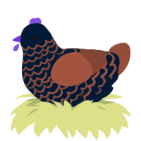 sea spray, a tumblr and russet chicken with a lace pattern