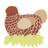(unnamed), a russet and beige chicken with a lace pattern