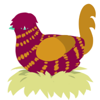 A maroon and ochre chicken with a bar pattern