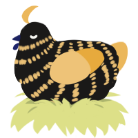 Barry, a sable and honey chicken with a bar pattern