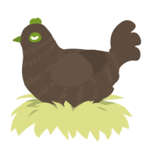 Keewee, a bark chicken with a bar pattern