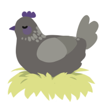 (unnamed), a grey and ash chicken with a neck-speckle pattern