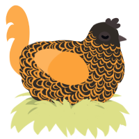 Pumpkin Spice, a mist and ultramarine chicken with a double-lace pattern