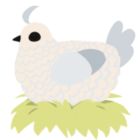 Iirki, a cream and mist chicken with a lace pattern