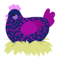 A navy and plum chicken with a speckle pattern