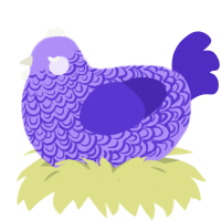 Lady Lilace, a lilac and indigo chicken with a double-lace pattern