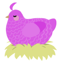 Orchid, a orchid chicken with a lace pattern