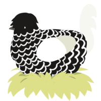 Walter, a sable and white chicken with a lace pattern