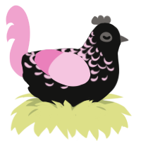 Moon Dust, a black and pink chicken with a half-lace pattern