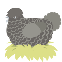 (unnamed), a grey and ash chicken with a lace pattern