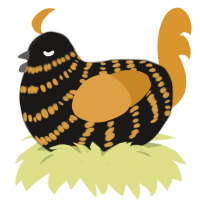 (unnamed), a sable and orange chicken with a bar pattern