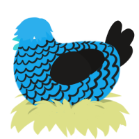 Tuna, a sky and sable chicken with a lace pattern
