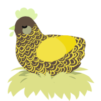 Beansprout, a bark and yellow chicken with a double-lace pattern