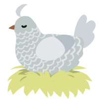 A silver and mist chicken with a lace pattern