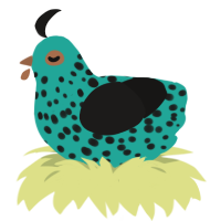 Springle, a turquoise and sable chicken with a speckle pattern